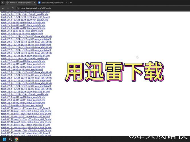 迅雷磁力搜索神器,让资源一网打尽 迅雷磁力搜索神器,让资源一网打尽